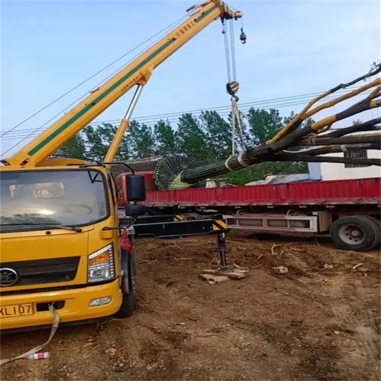 随州100吨吊车租赁费用怎么算？3大关键因素+省钱技巧全解析